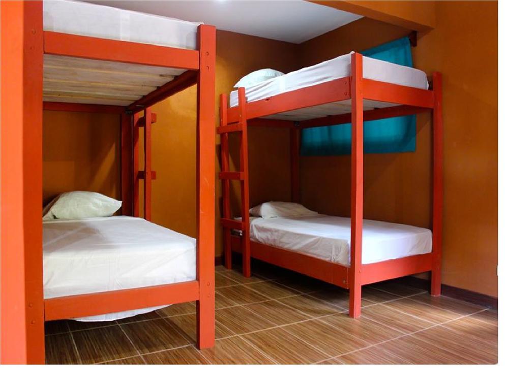 Coral Reef Surf Hostel And Camp Tamarindo Room photo