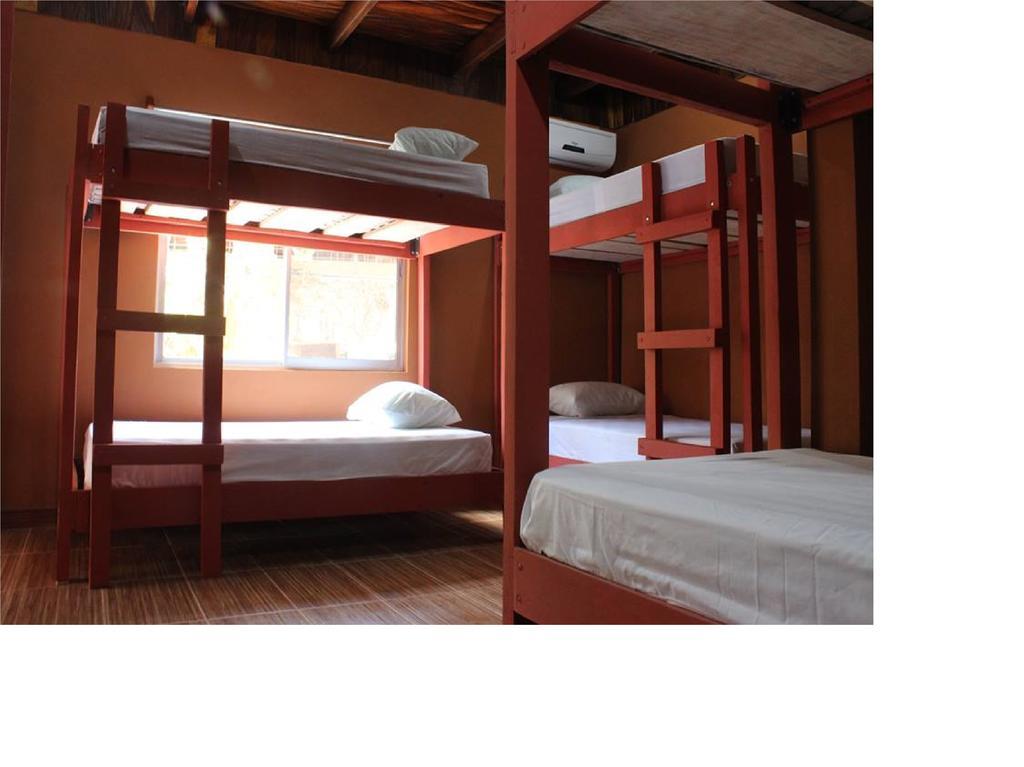 Coral Reef Surf Hostel And Camp Tamarindo Room photo